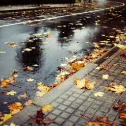 Pneu Vélo Michelin StarGrip 700 X 40C Réflecto 11 Pneu Vélo Michelin StarGrip 700 X 40C Réflecto -VTT-BMX Soldes pneu velo michelin stargrip 700x40c reflecto full 5